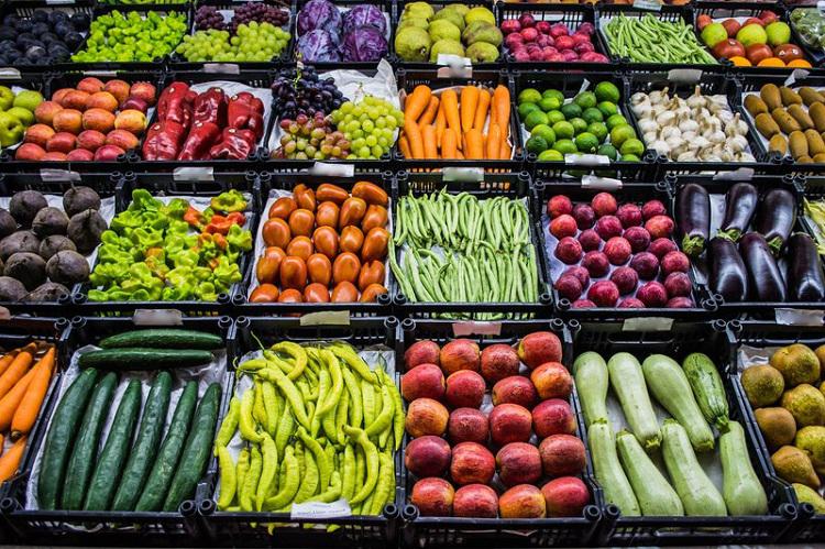 How to start international fresh-vegetable business step-by-step guide